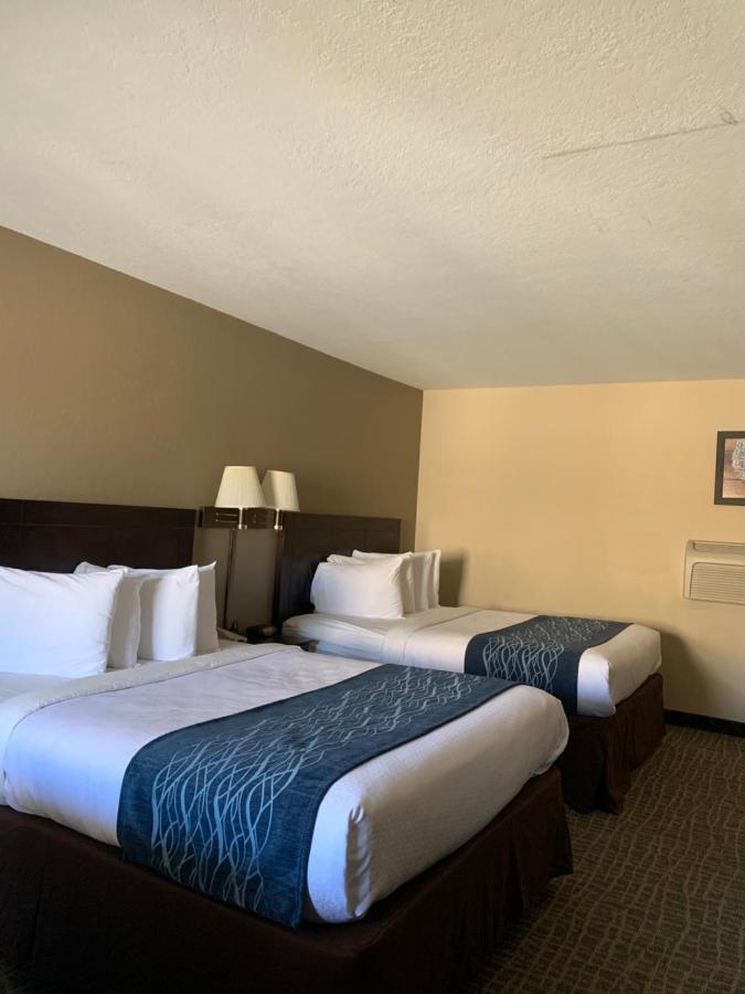 Hotel Economy &